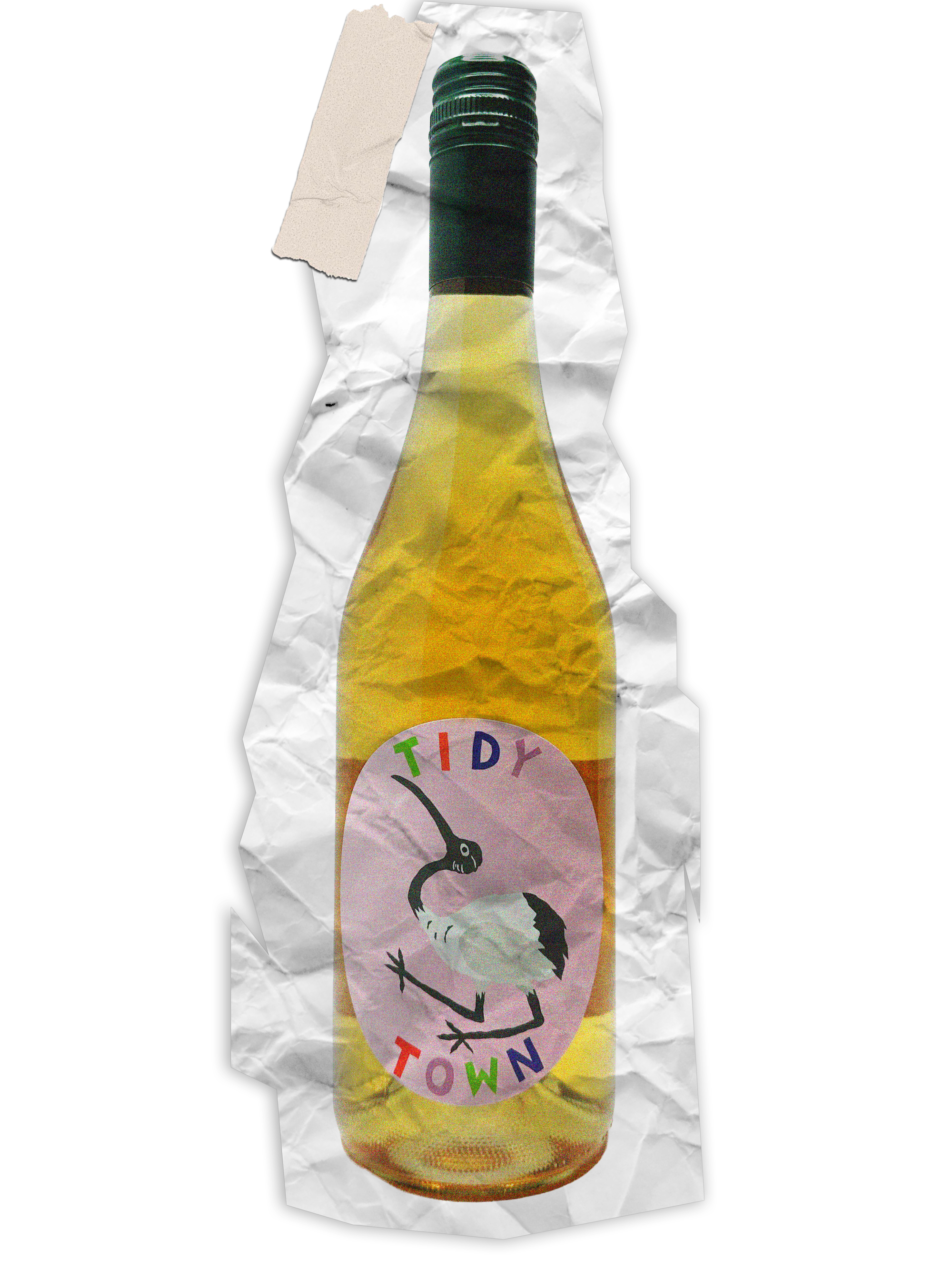 Tidy Town 'Bin Chicken' 2025