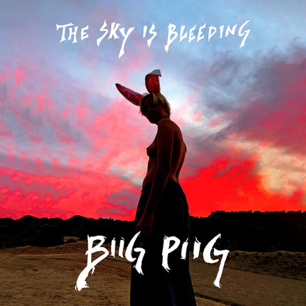 THE SKY IS BLEEDING. -Biig Piig