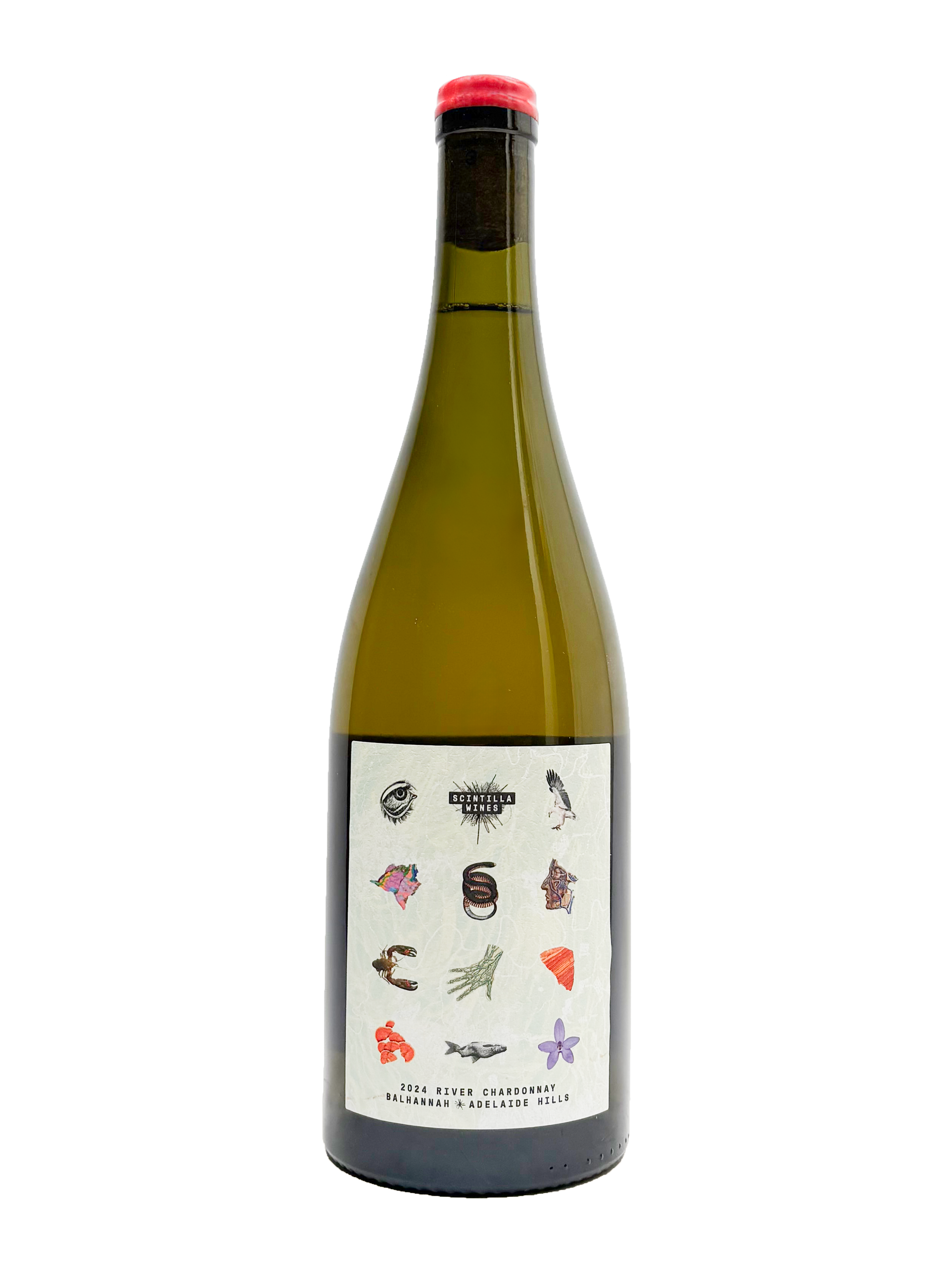 Scintilla Wines 'River' Chardonnay 2024