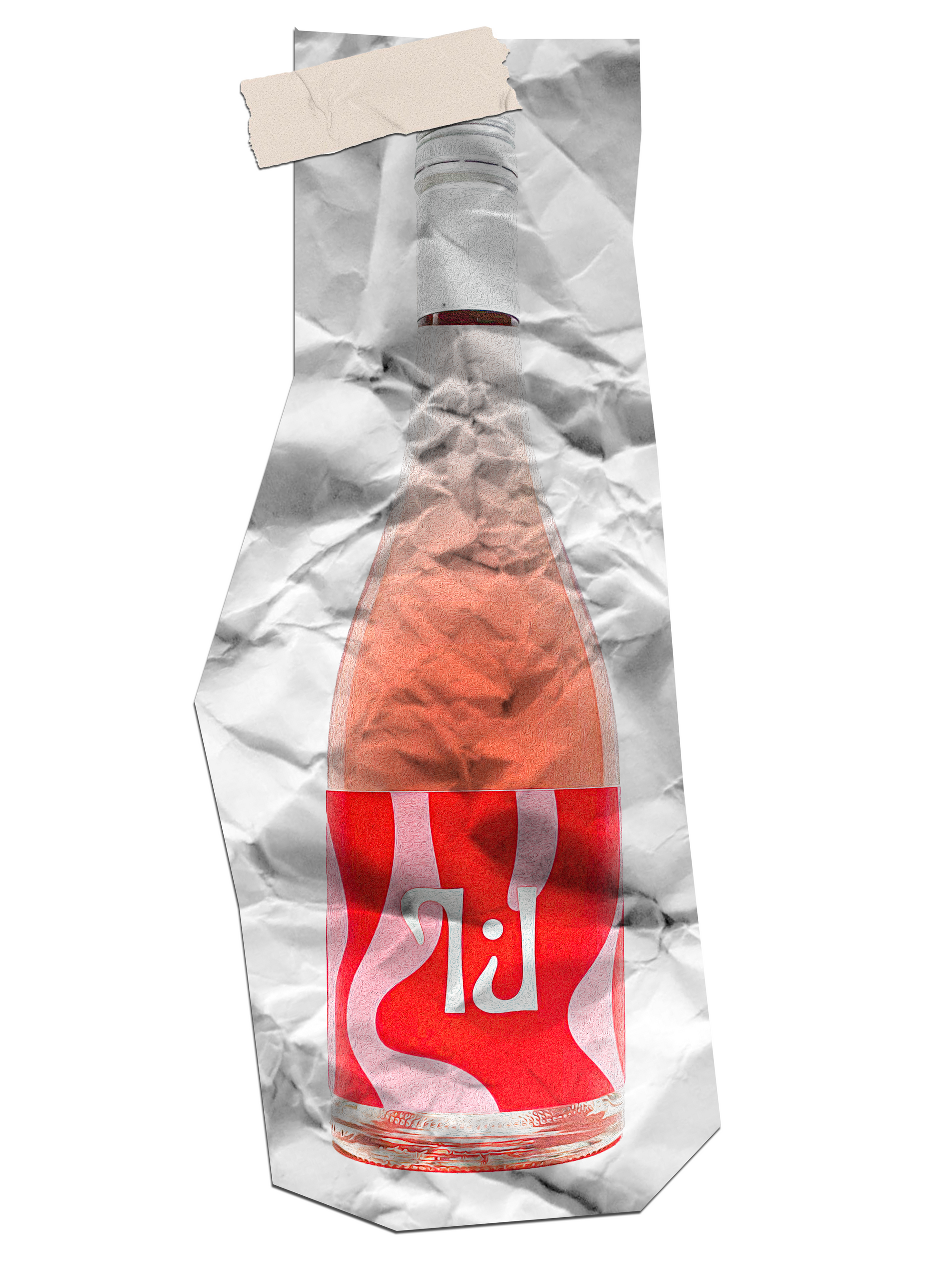 Tillie J 'Anna's' Rose 2024