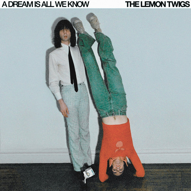 A DREAM IS ALL WE KNOW (ICE CREAM VINYL) - The Lemon Twigs